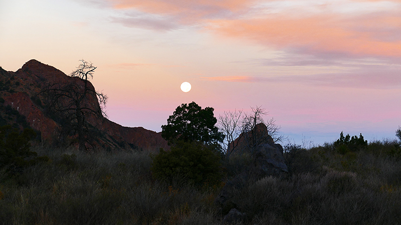 Chisos Mountains [Big Bend National Park]