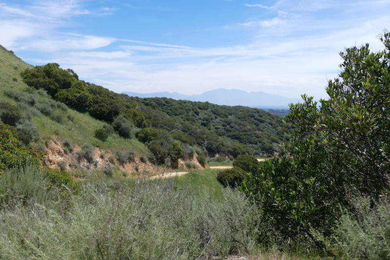 Claremont Hills