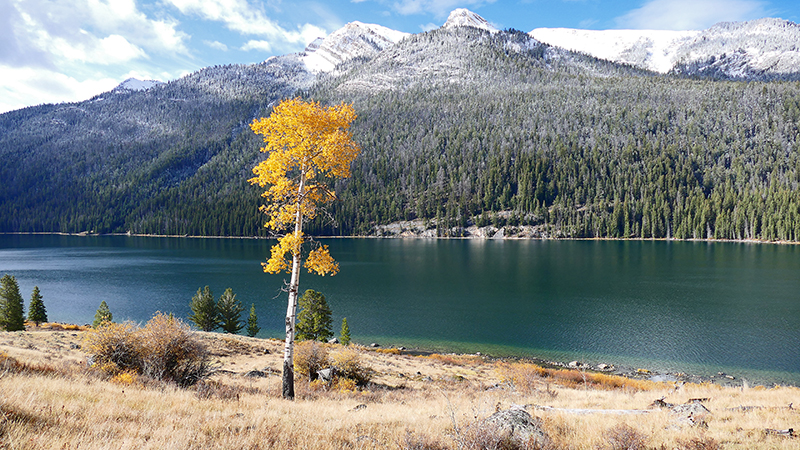 Green River Lakes Clear Creek Wyoming