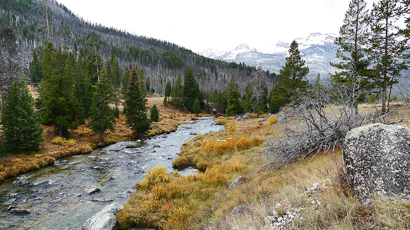 Green River Lakes - Clear Creek Wyoming