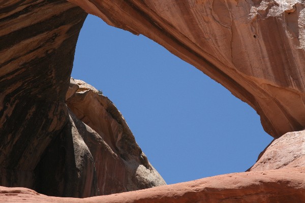 Cleft Arch