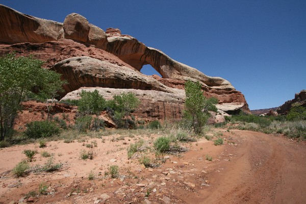 Lavender Canyon