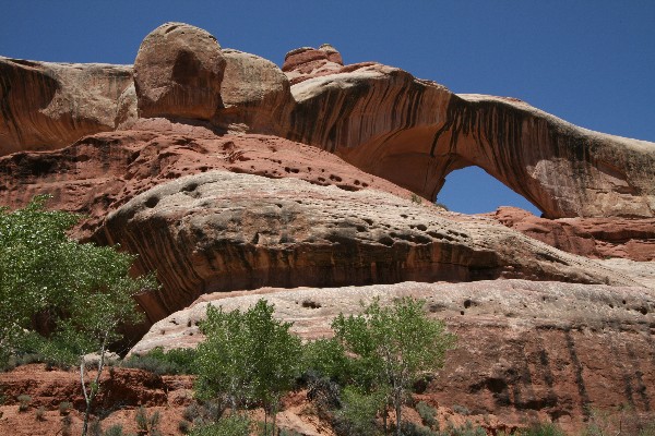 Cleft Arch