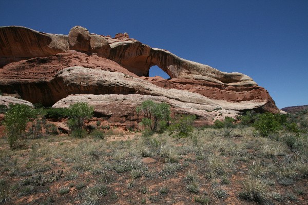 Cleft Arch