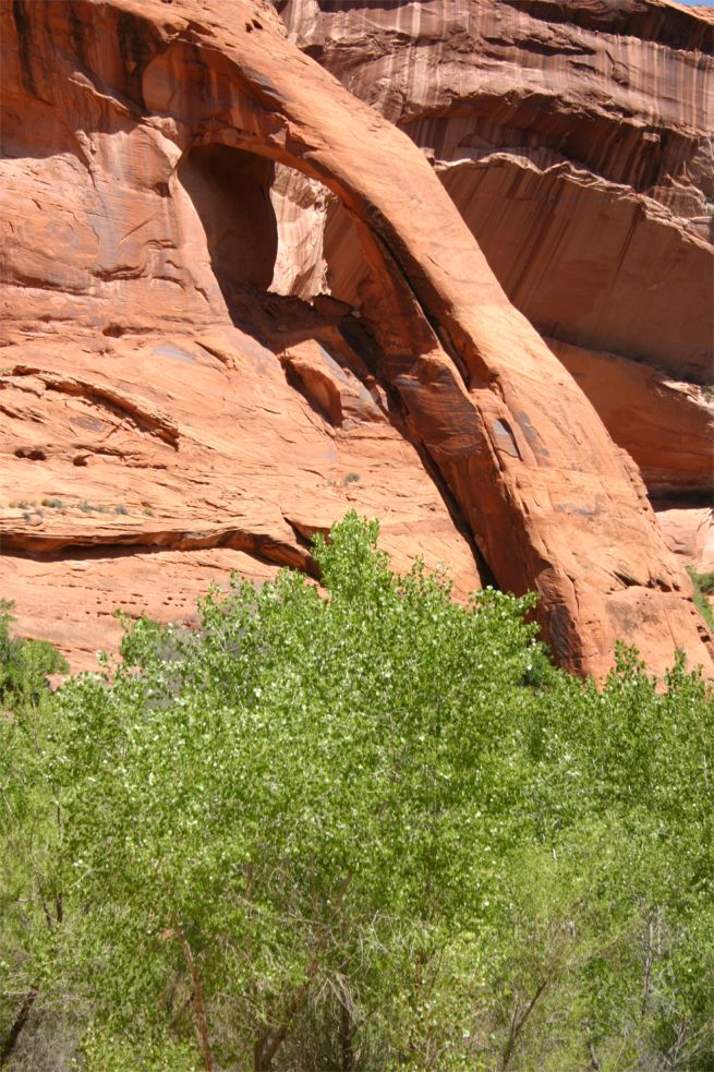 Cliff Arch