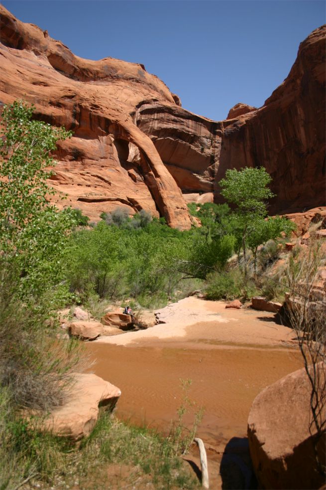 Cliff Arch