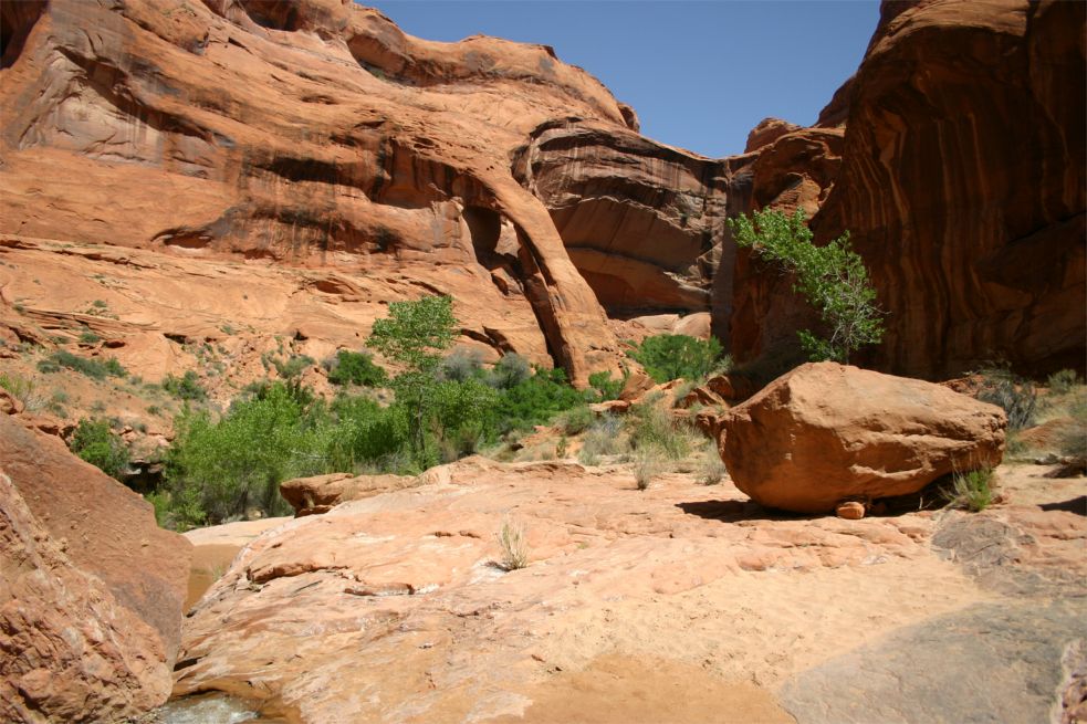 Coyote Gulch - über den Crack in the Wall bis zur Coyote Natural Bridge