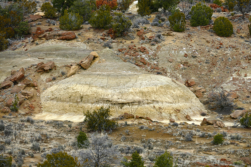 Coal Basin Badlands [Gallup]