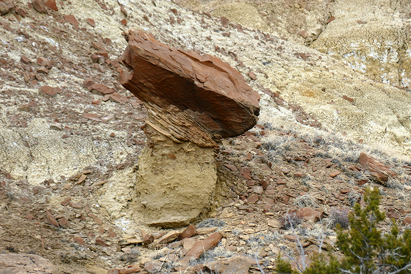 Coal Basin Badlands [Gallup]