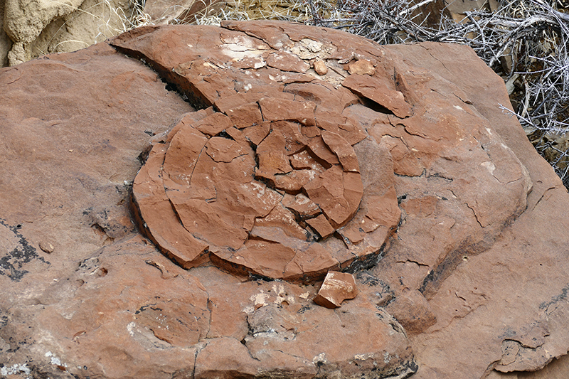 Coal Basin Badlands [Gallup]