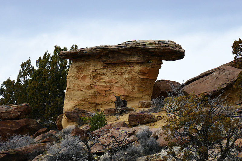 Coal Basin Badlands [Gallup]