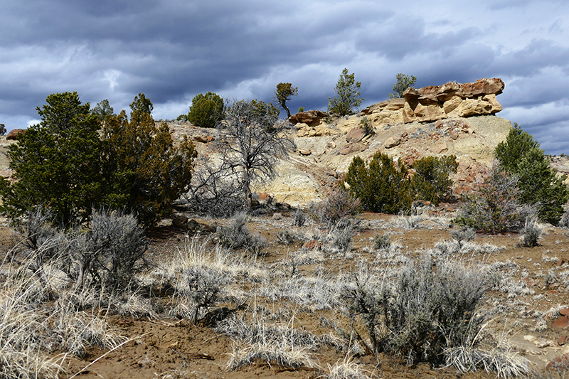 Coal Basin Badlands [Gallup]