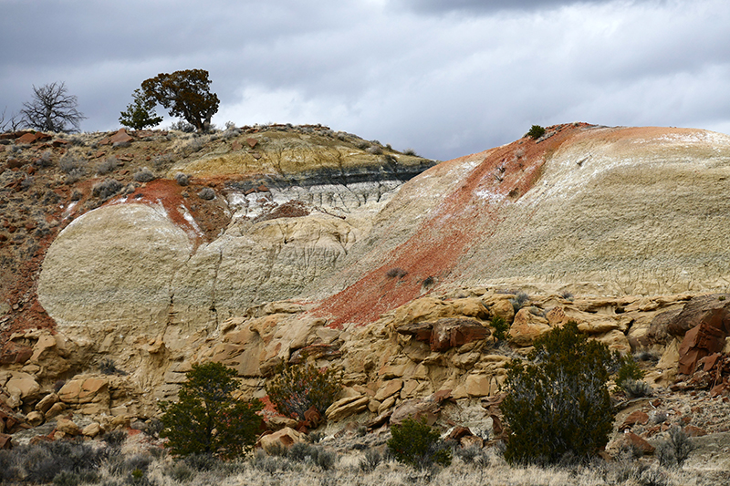 Coal Basin Badlands [Gallup]