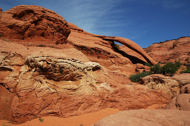 Cobra Arch