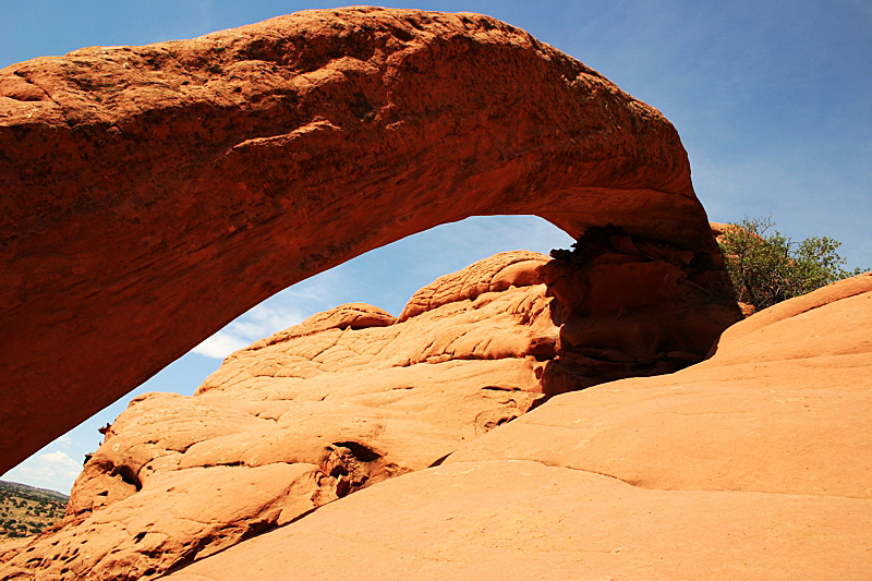 Cobra Arch