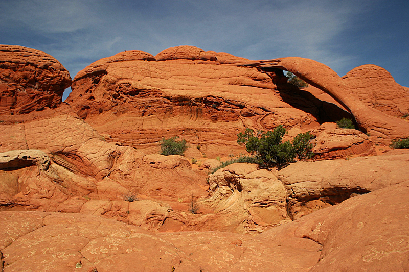 Cobra Arch