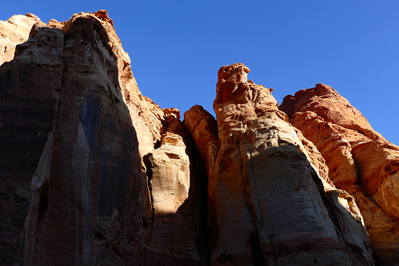 Cohab Canyon [Capitol Reef National Park]