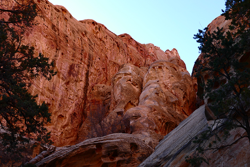 Cohab Canyon [Capitol Reef National Park]