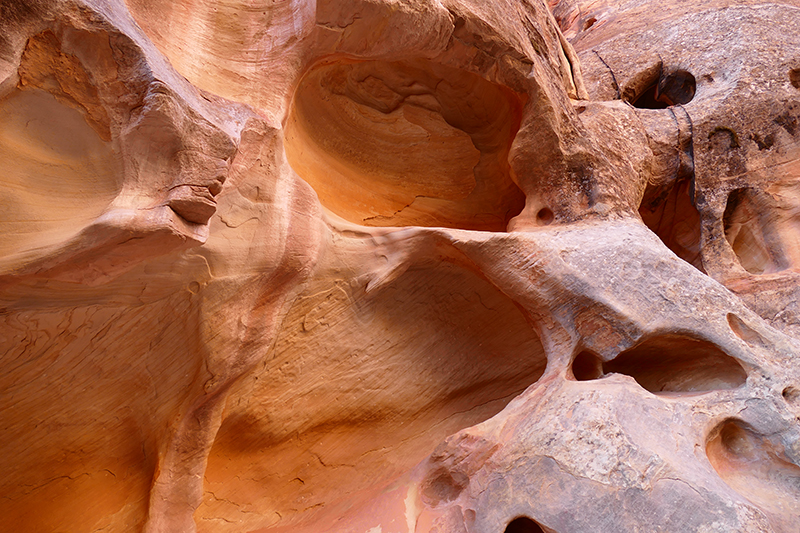 Cohab Canyon [Capitol Reef National Park]