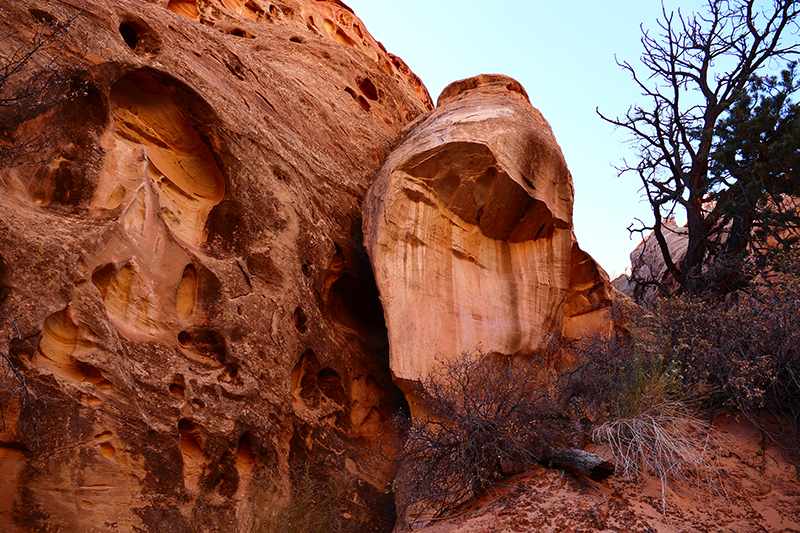 Cohab Canyon [Capitol Reef National Park]