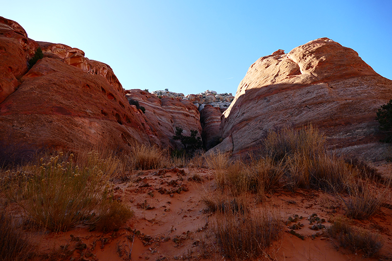 Cohab Canyon [Capitol Reef National Park]