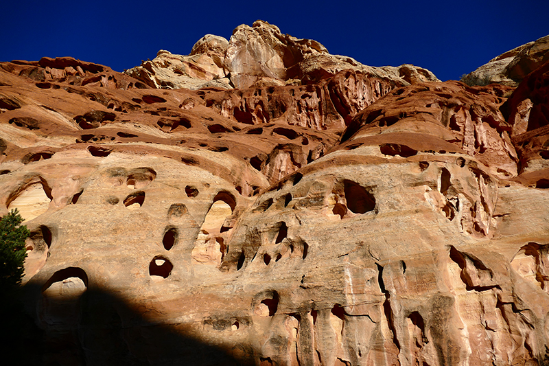 Cohab Canyon [Capitol Reef National Park]