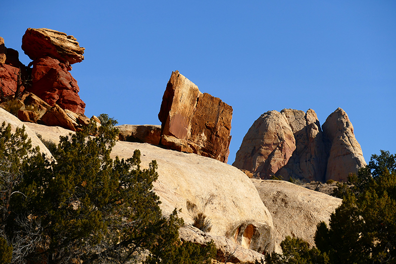 Cohab Canyon [Capitol Reef National Park]