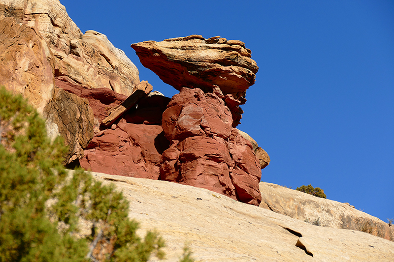 Cohab Canyon [Capitol Reef National Park]