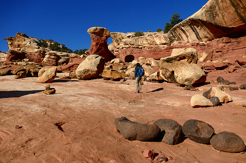 Cohab Canyon [Capitol Reef National Park]