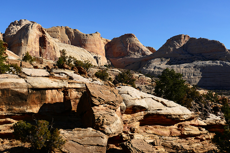 Cohab Canyon [Capitol Reef National Park]