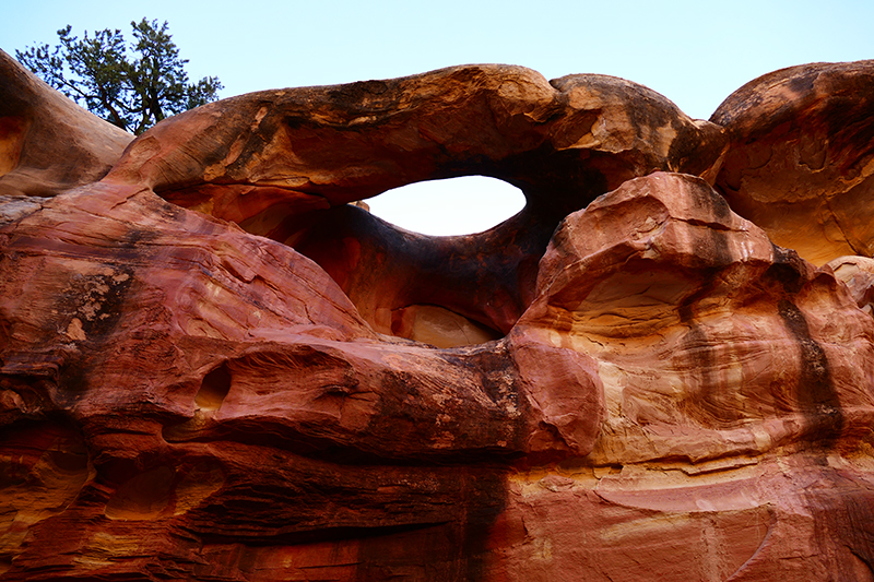 Cohab Canyon [Capitol Reef National Park]