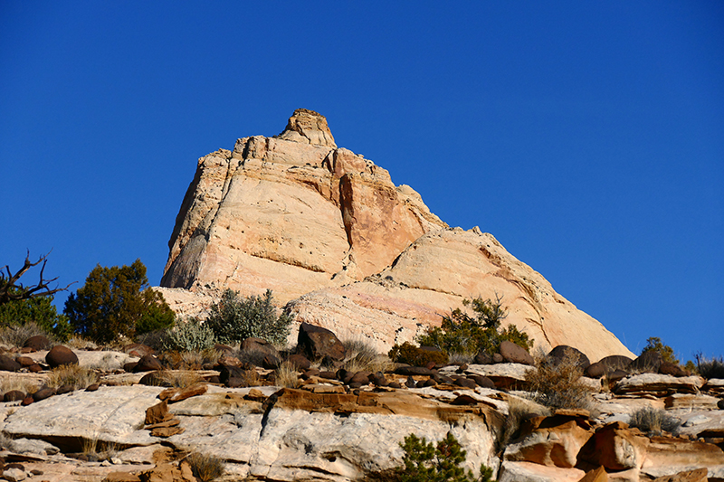 Cohab Canyon [Capitol Reef National Park]