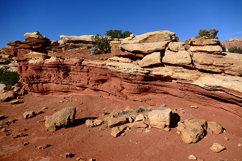 Cohab Canyon [Capitol Reef National Park]