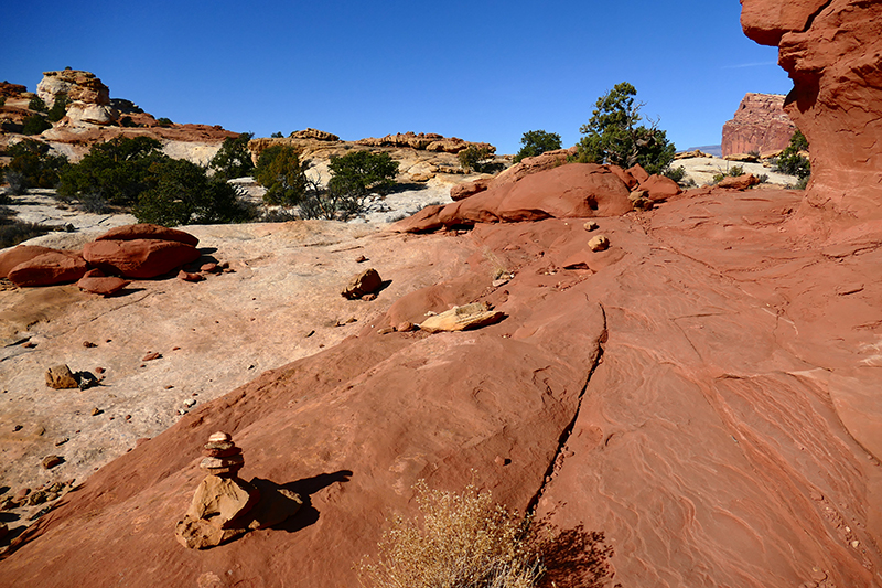 Cohab Canyon [Capitol Reef National Park]