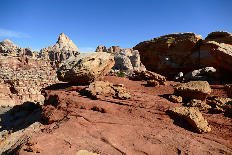 Cohab Canyon [Capitol Reef National Park]