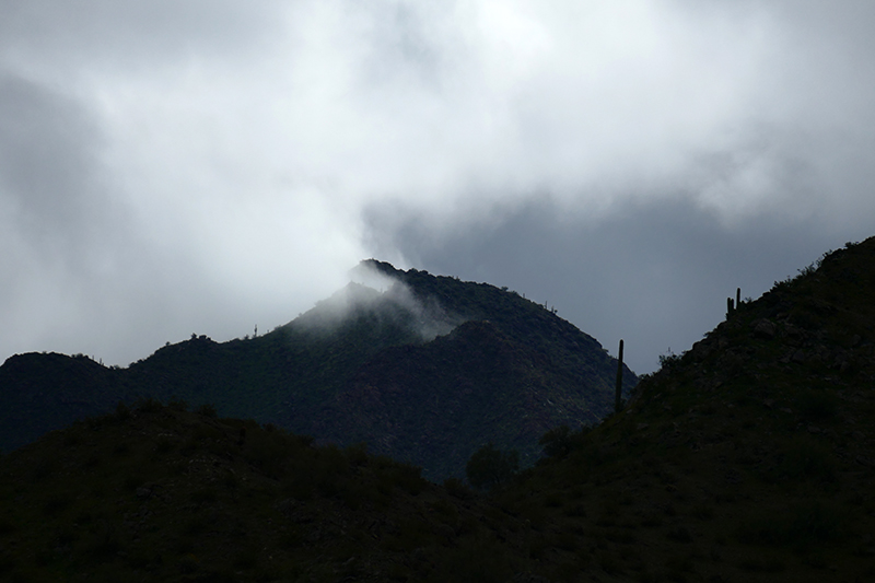 Estrella Mountains Regional Park [Avondale]