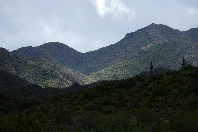 Estrella Mountains Regional Park [Avondale]