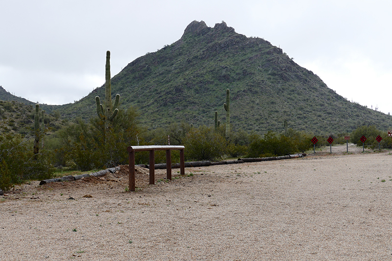 Estrella Mountains Regional Park [Avondale]