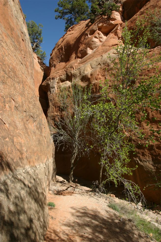 Colorado National Monument