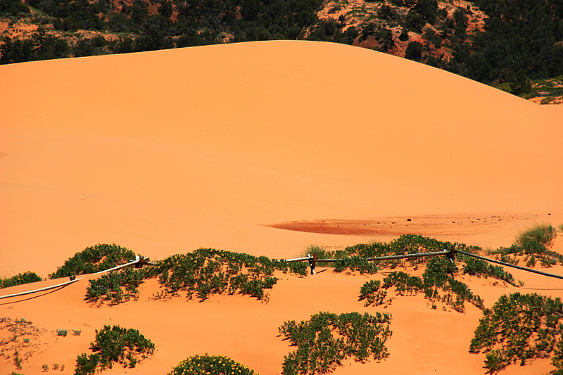 Coral Pink Sand Dunes State Park