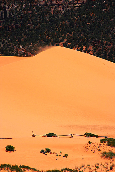 Coral Pink Sand Dunes State Park