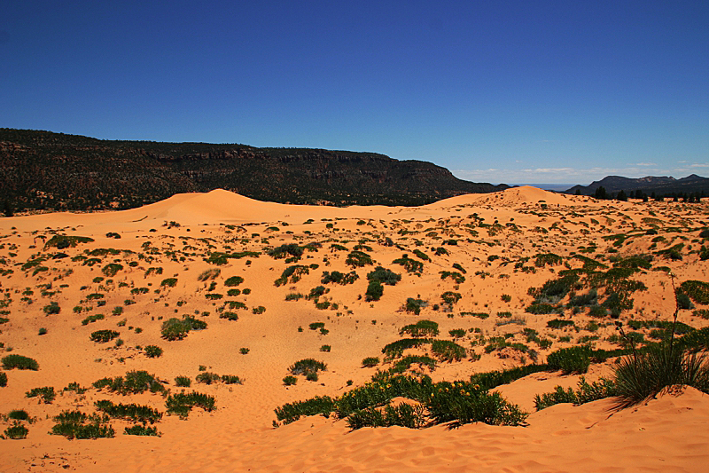 Coral Pink Sand Dunes State Park