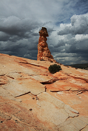 Cottonwood Hoodoo