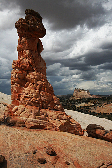 Cottonwood Hoodoo