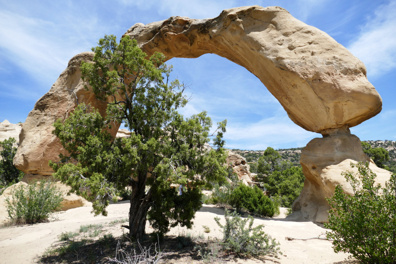 Cox Canyon Arch aka. Anasazi Arch