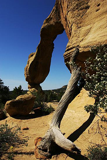 Cox Canyon Arch aka. Anasazi Arch