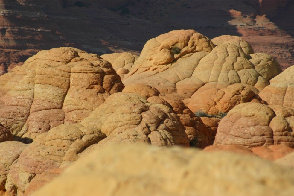 Coyote Buttes