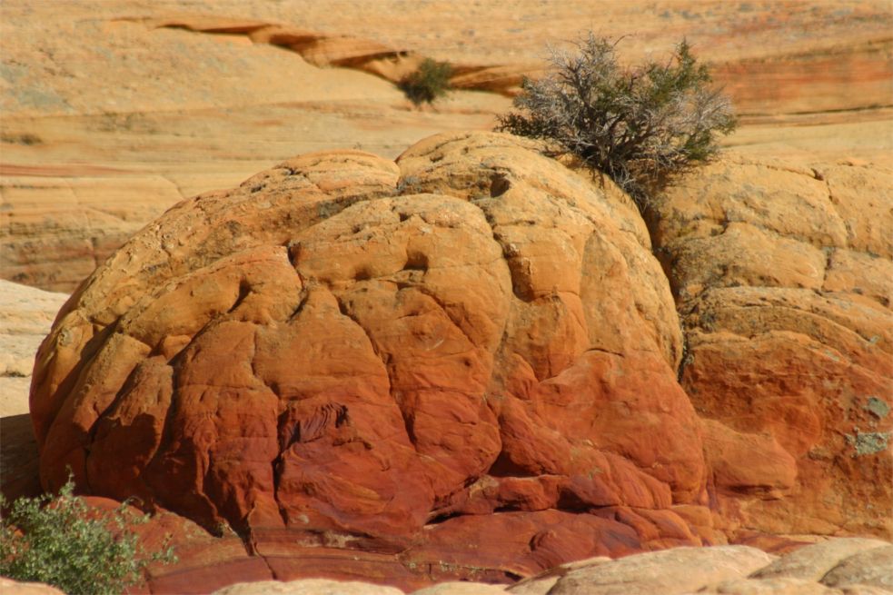 Coyote Buttes