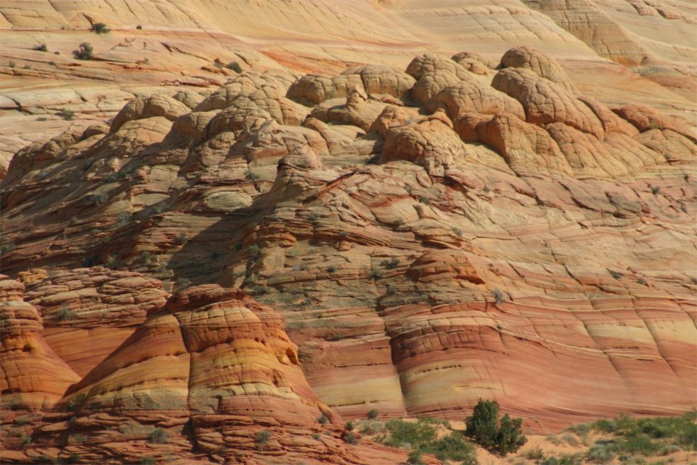 Coyote Buttes