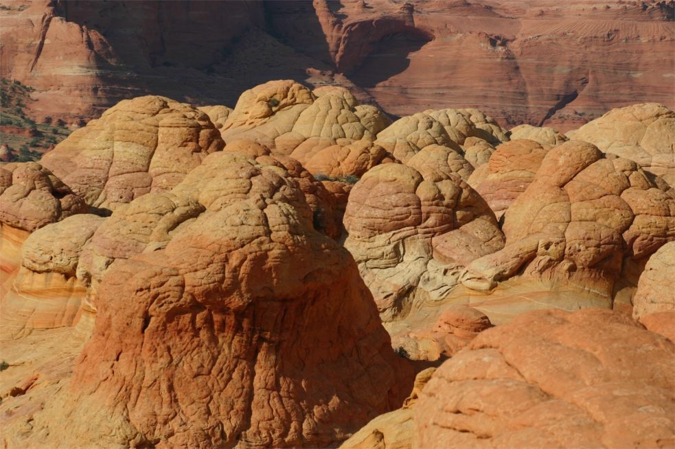 Coyote Buttes